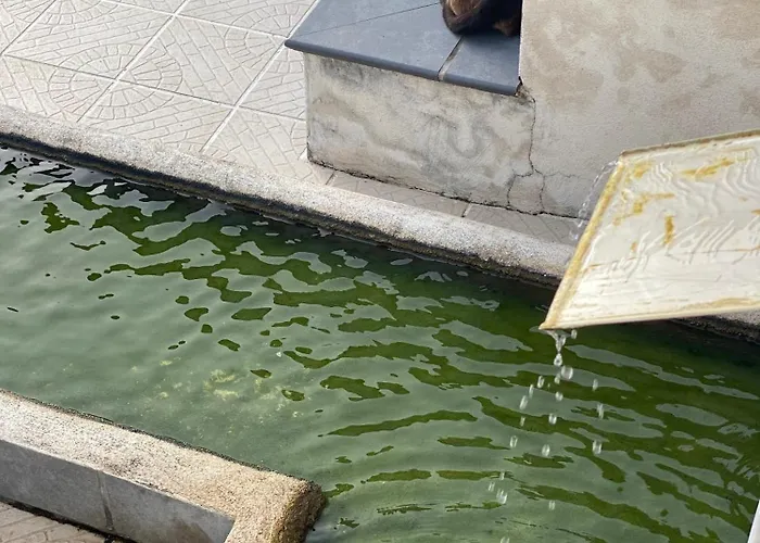 Finca Antonio * Ciudad-Rodrigo