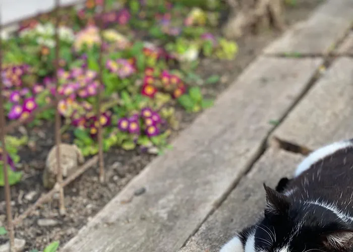 Casa vacanze Finca Antonio Ciudad-Rodrigo