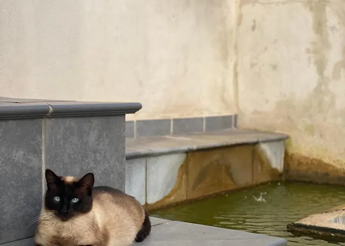 Finca Antonio * Ciudad-Rodrigo